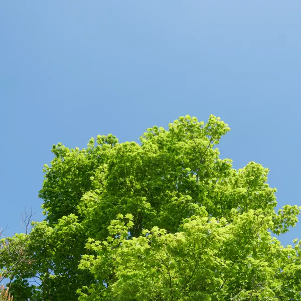 Votre futur appartement au cœur du quartier de l’Étoile